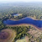 Reserva Mbaracayu-Paraguay-Sostenibilidad-Biodiversidad-Premios-Fundación Moisés Bertoni-Fundación BBVA