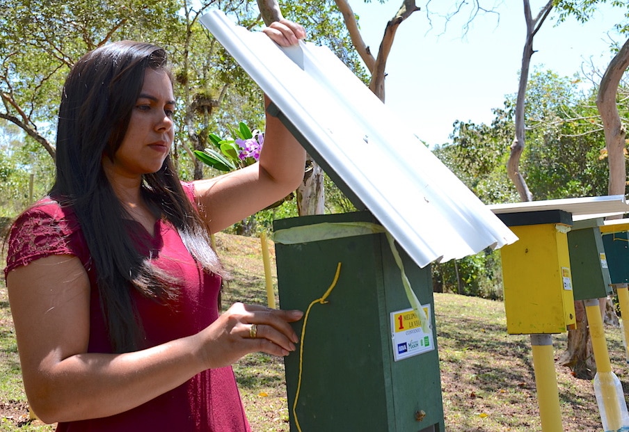 Colmenas tecnificadas y atendidas por mujeres en la vereda Alto de Reinas, en Socorro, Santander.