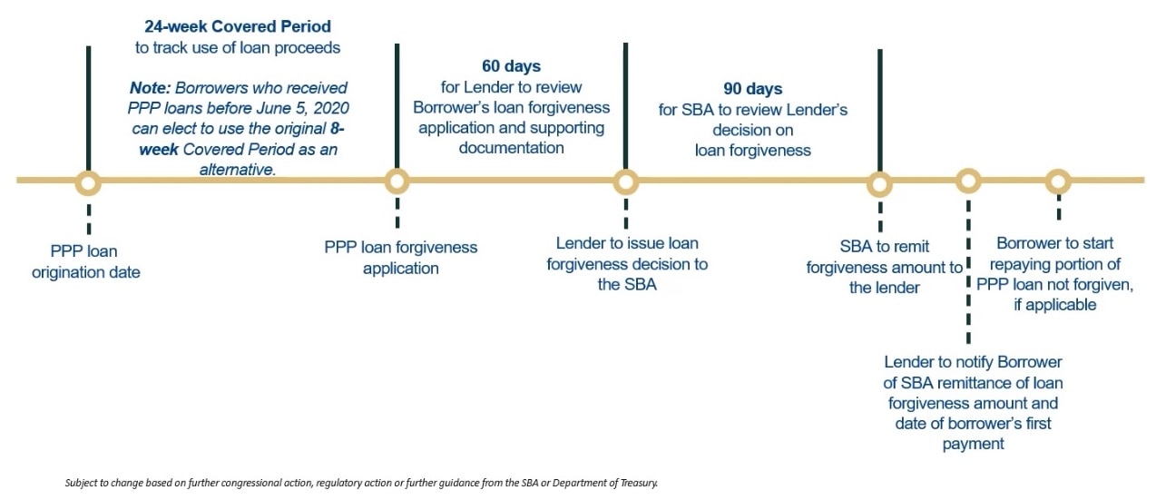 PPP Forgiveness Series, Part 3: A visual timeline | BBVA