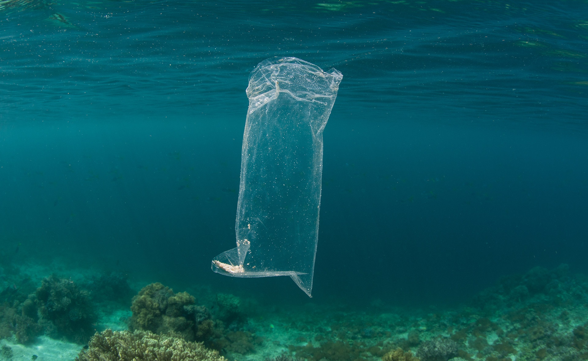 Como reciclar las bolsas de plástico correctamente y no contaminar