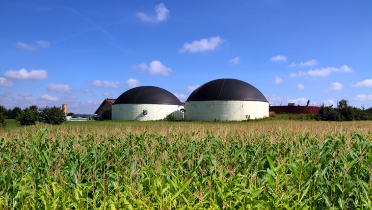 BBVA-energias-renovables-sostenibilidad-biomasa-biogás