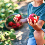 BBVA-cultivo-tomates-gastronomia-sostenibilidad-huerto