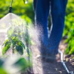 herbicida-ecologico-plagas-campo-cultivos-tractor-agricultura-sostenibilidad