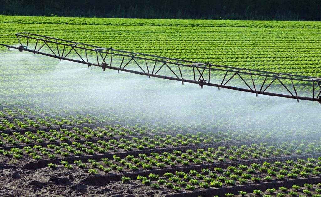  Ingeniería, Agricultura y Agua: Riego por Goteo