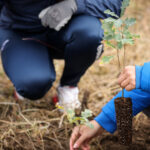 El peligro de no reforestar desde la sostenibilidad