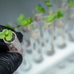 De biocombustibles a bioplásticos: ¿Cuánto le debemos a la biotecnología industrial o blanca?