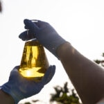De biocombustibles a bioplásticos: ¿Cuánto le debemos a la biotecnología industrial o blanca?