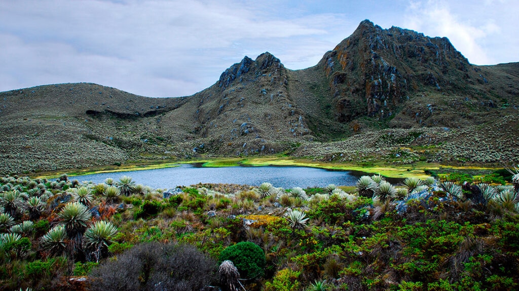 Leyes Del Agua Así Protegen Sus Recursos Hídricos Los Países De América Latina Y Europa Bbva 5083