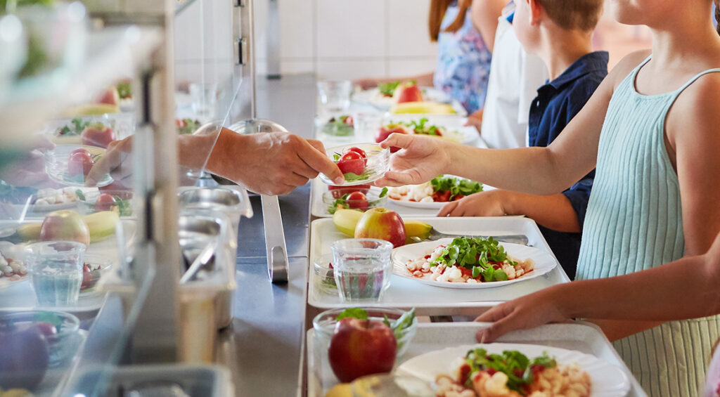 Joan Torredemer Public School in Matadepera Takes Action Against Food Waste with Food Audit Program