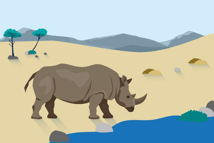 BBVA-animales-extinguidos-ultimo-siglo-rinoceronte