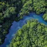 Mujeres científicas en la lucha contra el cambio climático