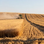 ¿En qué se diferencian la agricultura intensiva y la extensiva?