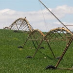 ¿En qué se diferencian la agricultura intensiva y la extensiva?