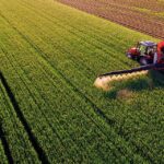 ¿En qué se diferencian la agricultura intensiva y la extensiva?