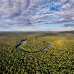 ¿Cómo afectan los excrementos al medioambiente?