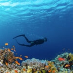 Ángeles Alvariño, pionera de la oceanografía