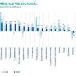 SitReg PIB Sector perspectiva